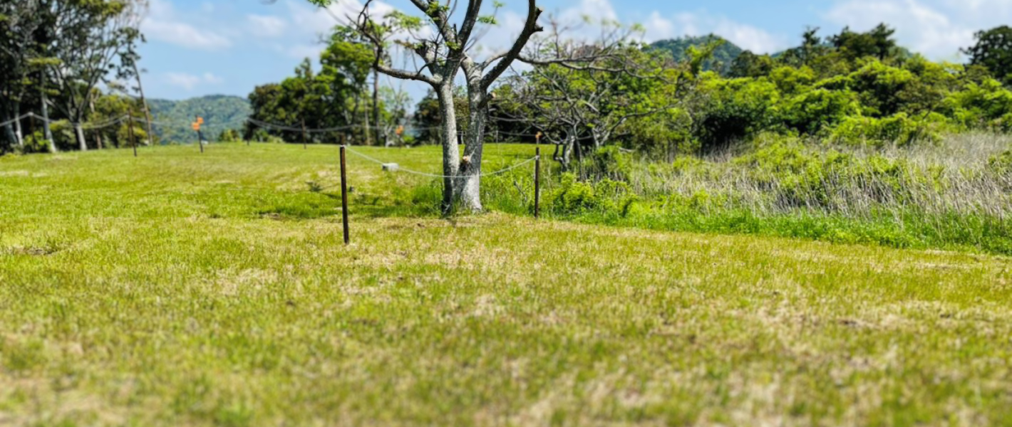 テキストテキスト